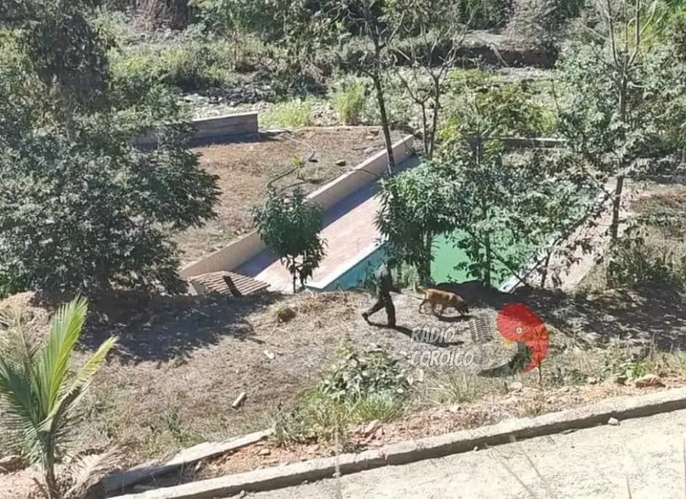 Un efectivo policial recorre la zona de Tocaña. Foto: Radio Coroico