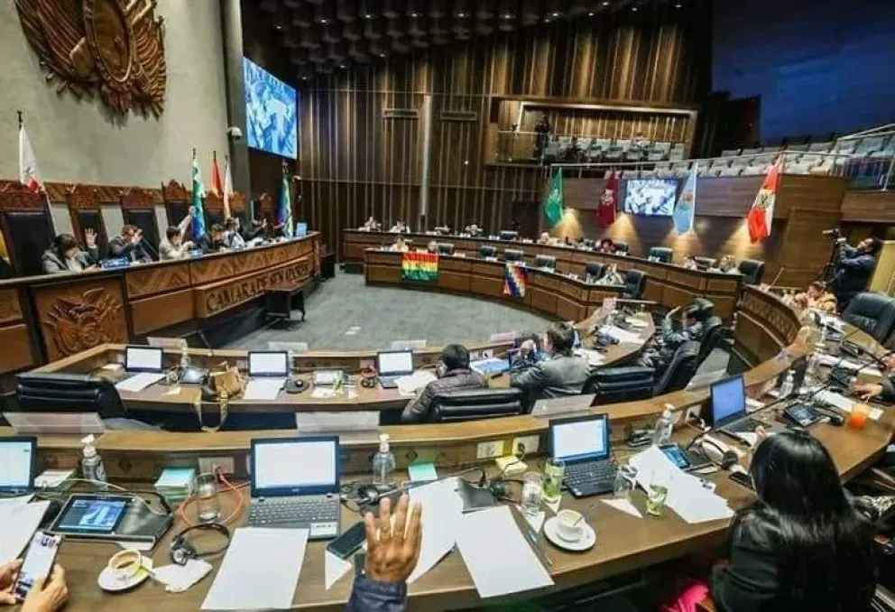 La normativa pasará a Diputados. Foto: Senado Bolivia