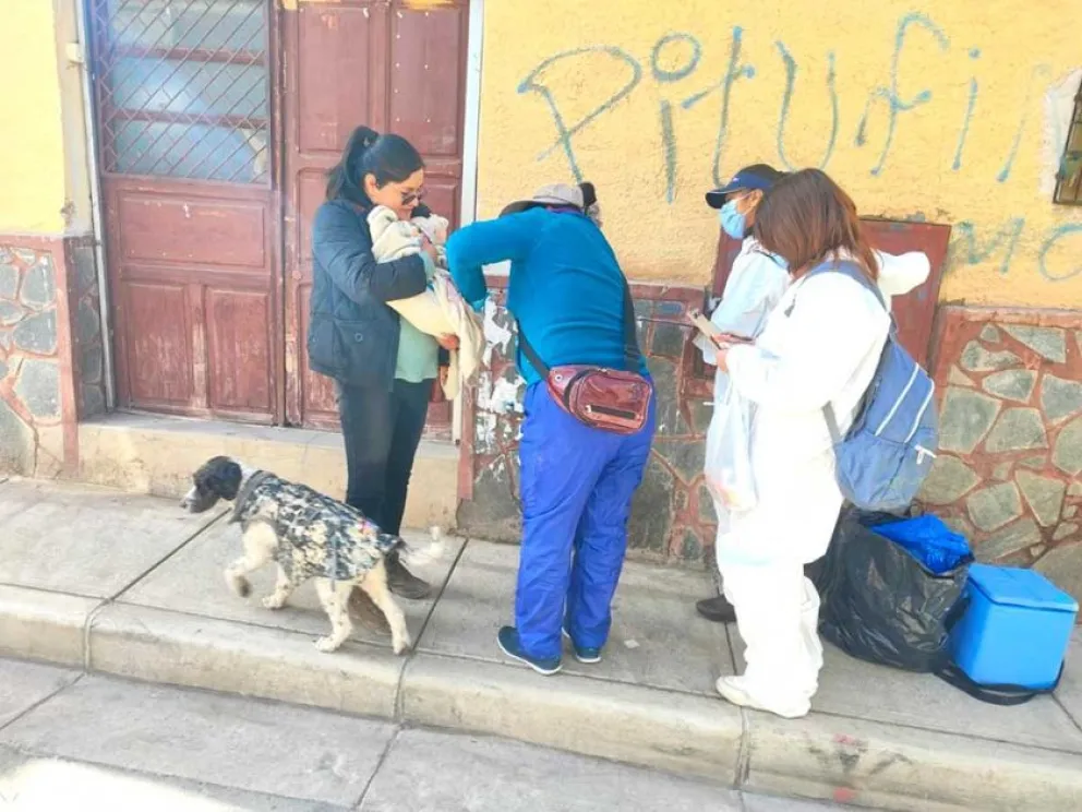 Vacunación antirrábica en Potosí. Foto: El Potosí