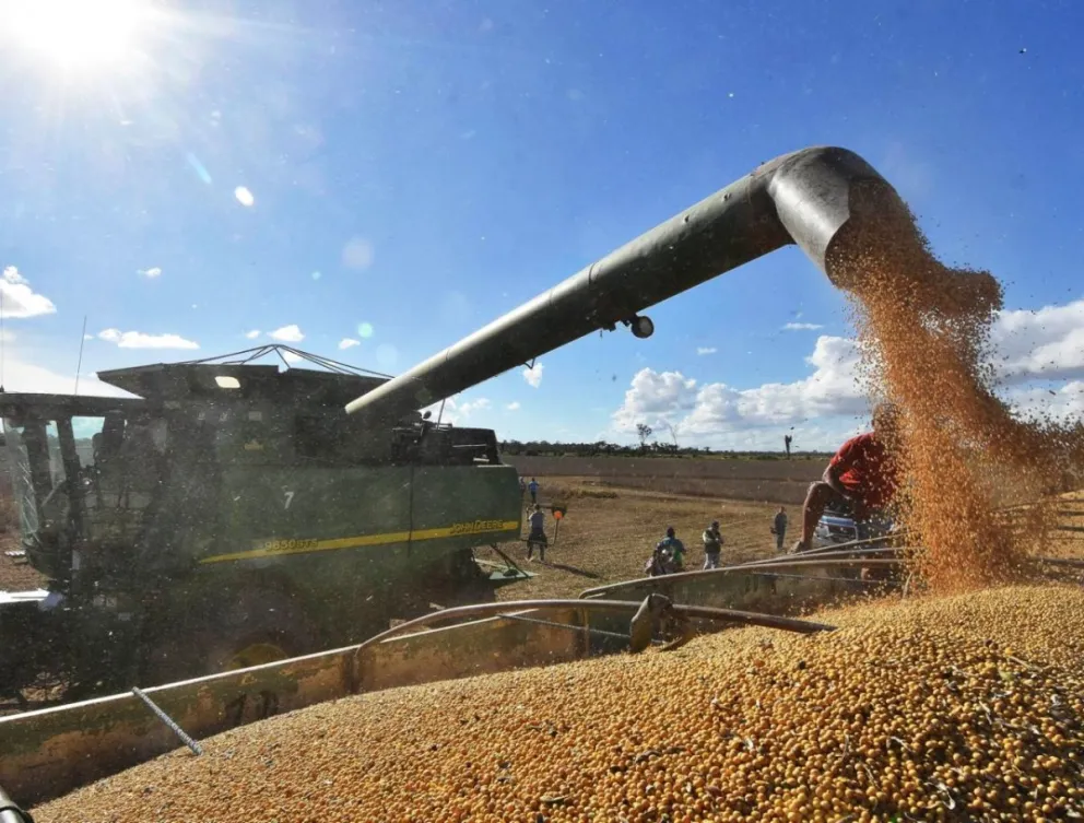La soya es un producto importante para la exportación boliviana. Foto: APG