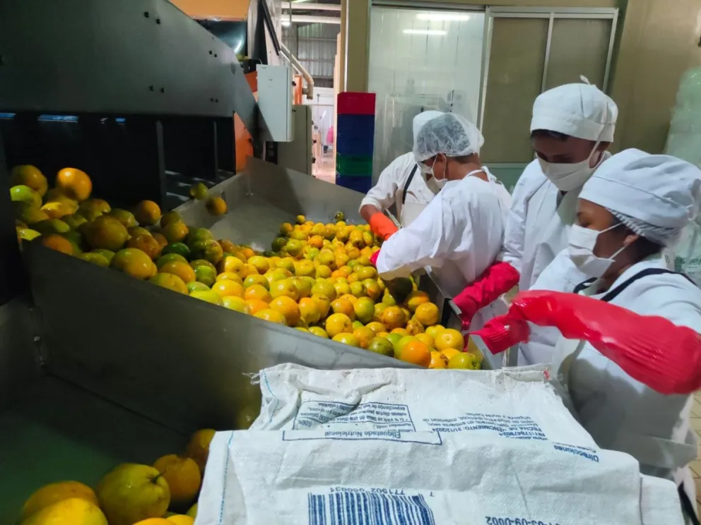 Planta procesadora de cítricos en Caranavi, que impulsa el Gobierno como inversión pública. Foto: ABI