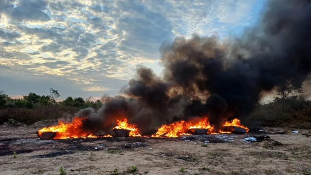 Droga destruida por la Felcn en uno de los 5.528 operativos realizados en lo que va del año. Foto: Felcn.
