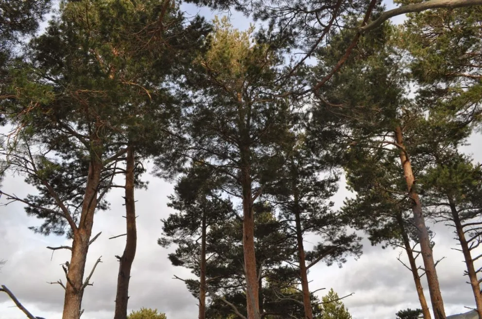 Imagen referencial del patrimonio natural del Municipio de La Paz.   Foto: Internet 