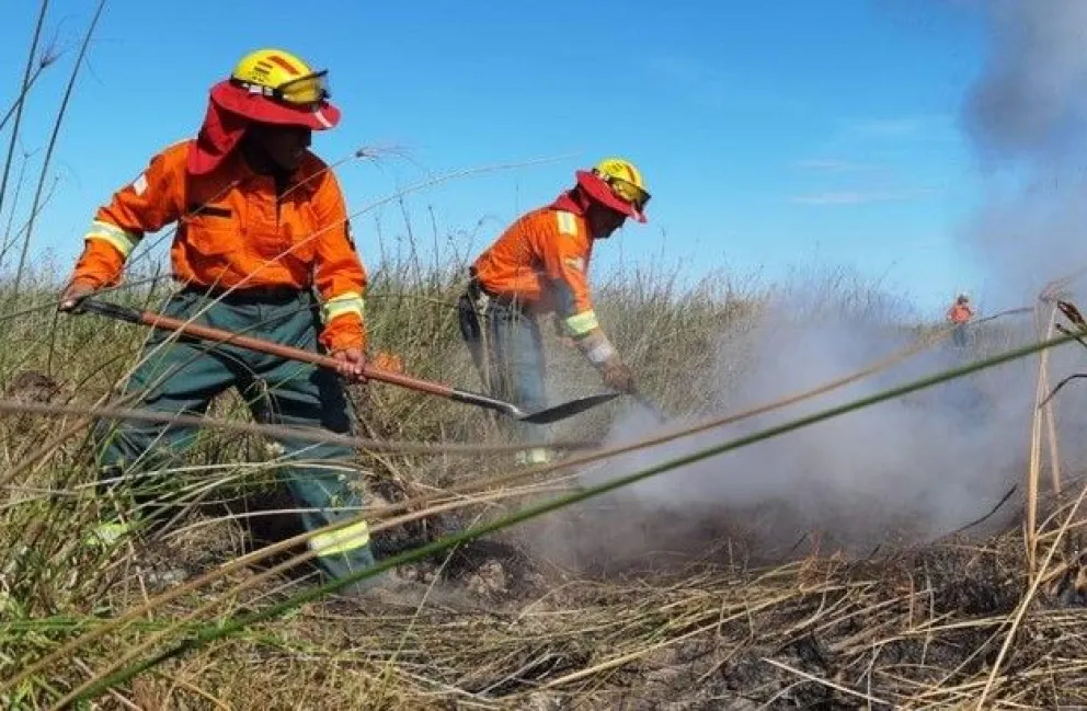 Bomberos forestales en plena labor. Foto: ABI 
