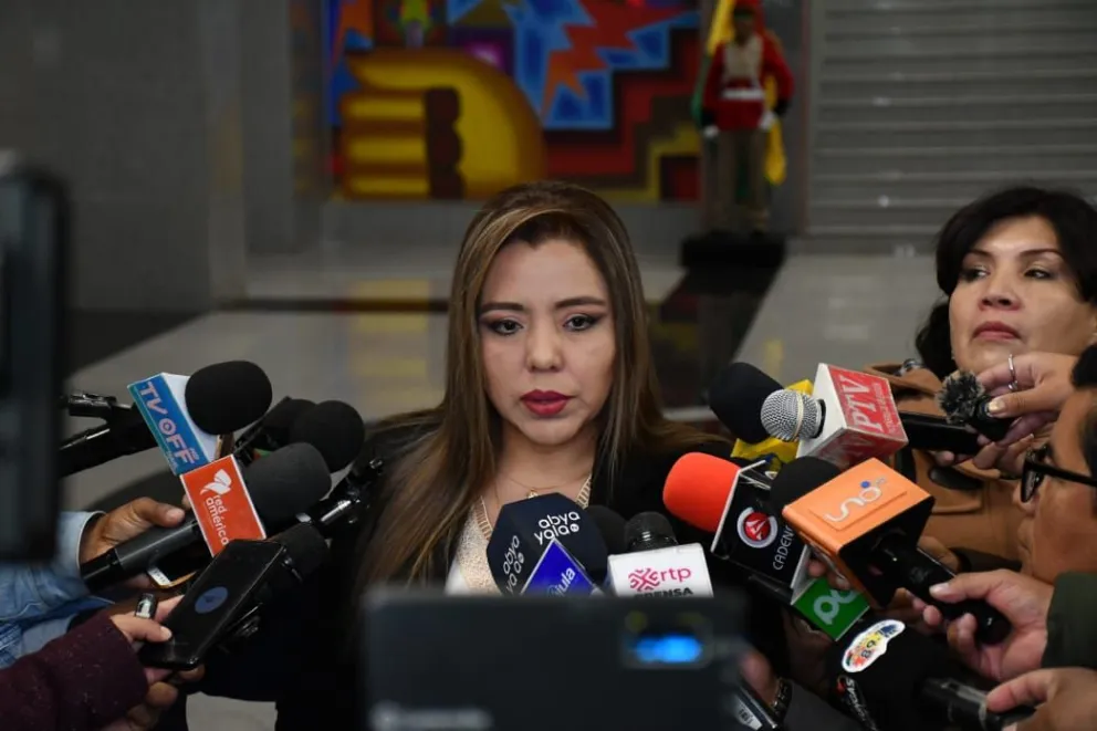  La viceministra de Comunicación, Gabriela Alcón, en una conferencia anterior. Foto: APG