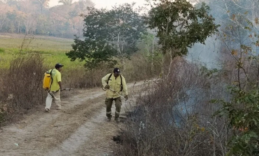 Uno bombero forestal realizando labores de enfriamiento de focos de calor en Santa Cruz. Foto: Archivo
