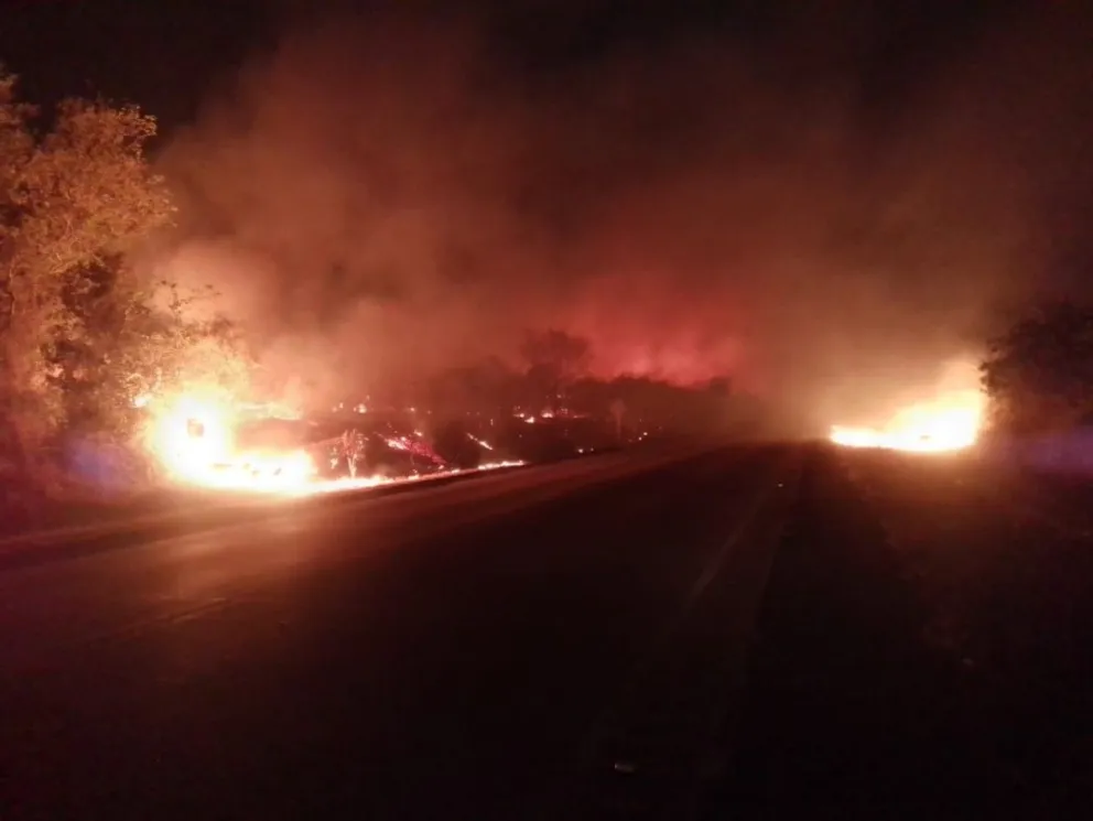 El fuego provocó la pérdida de flora y fauna, además de la afectación a comunidades aledañas. Foto: Archivo