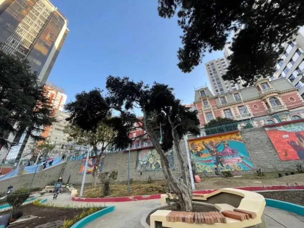 El  pinsapo patrimonial, que se encuentra en la plaza Félix Reyes Ortiz. FOTO: AMN