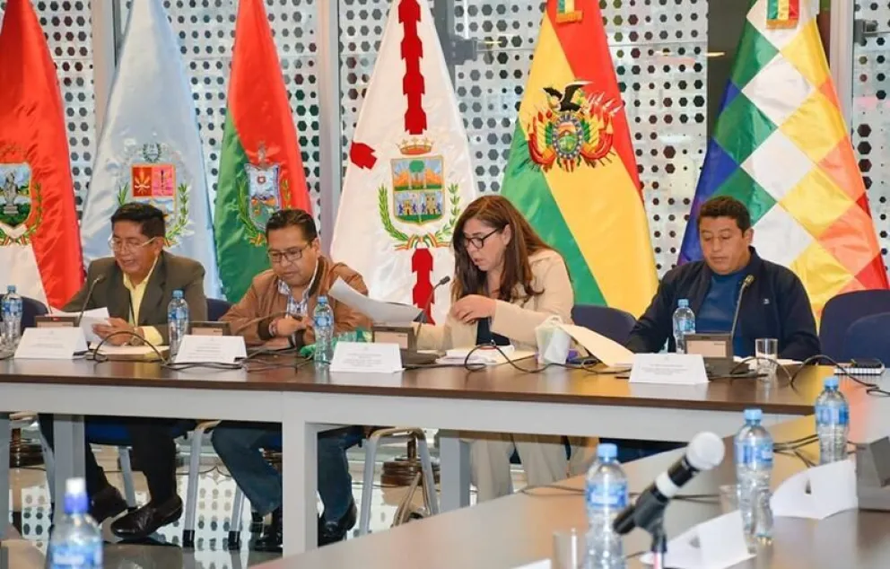 Miembros de la Comisión de Constitución de la Asamblea Legislativa. Foto ABI