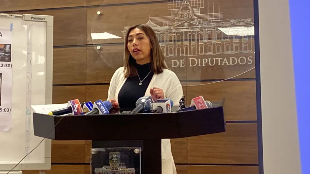 La diputada de Comunidad Ciudadana (CC), Gabriela Ferrel. Fotos: CC