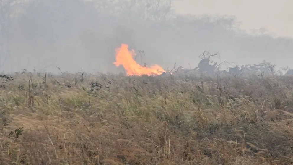 Un incendio registrado en Santa Cruz. Foto: ABT.  