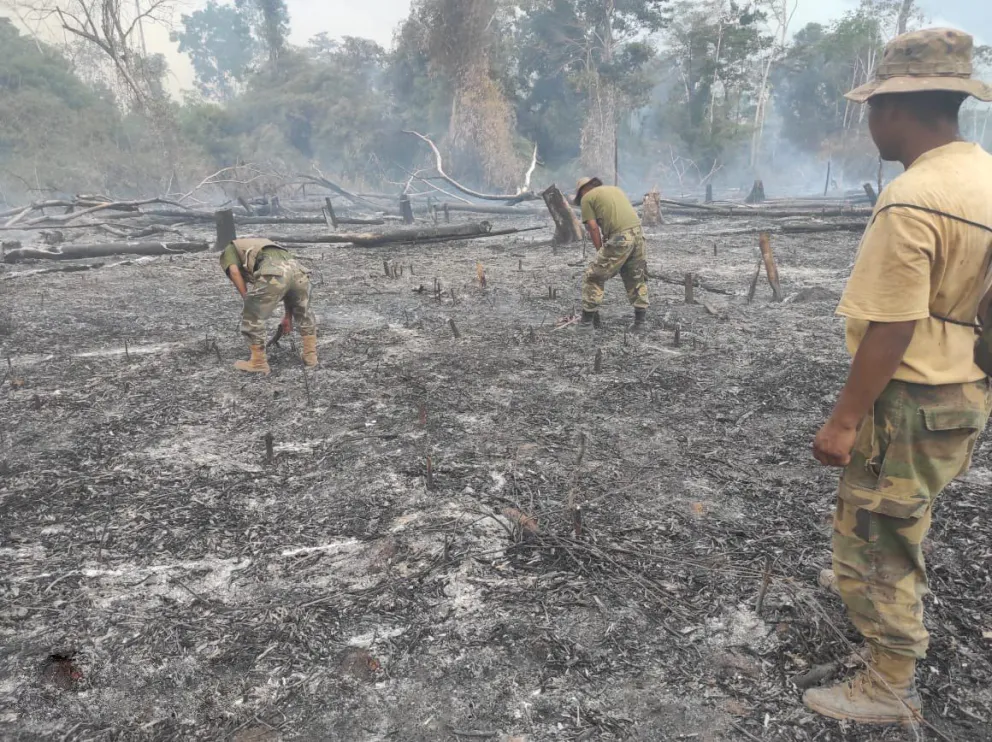 Efectivos realizan actividades para apagar un incendio (imagen referencial). Foto: ABI 