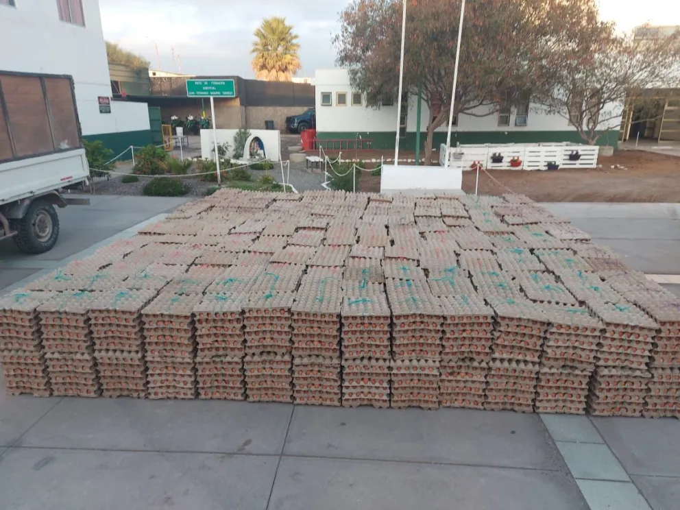 Decomiso de huevos de contrabando (imagen referencial). Foto: SAG de Chile