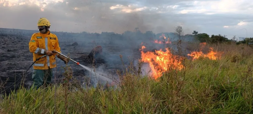 Un bombero interviene un incendio forestal en Santa Cruz. Foto: Gobernación de Santa Cruz