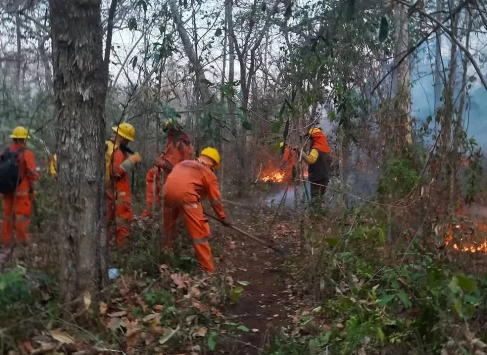 Bomberos luchan sin tregua contra los incendios forestales. Foto: Gobernación de Beni