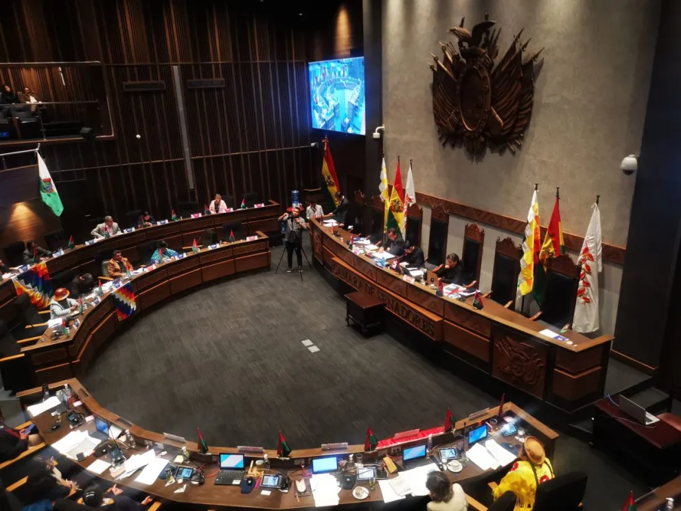 Los parlamentarios sesionan en la Cámara Alta. Foto: Senado Bolivia