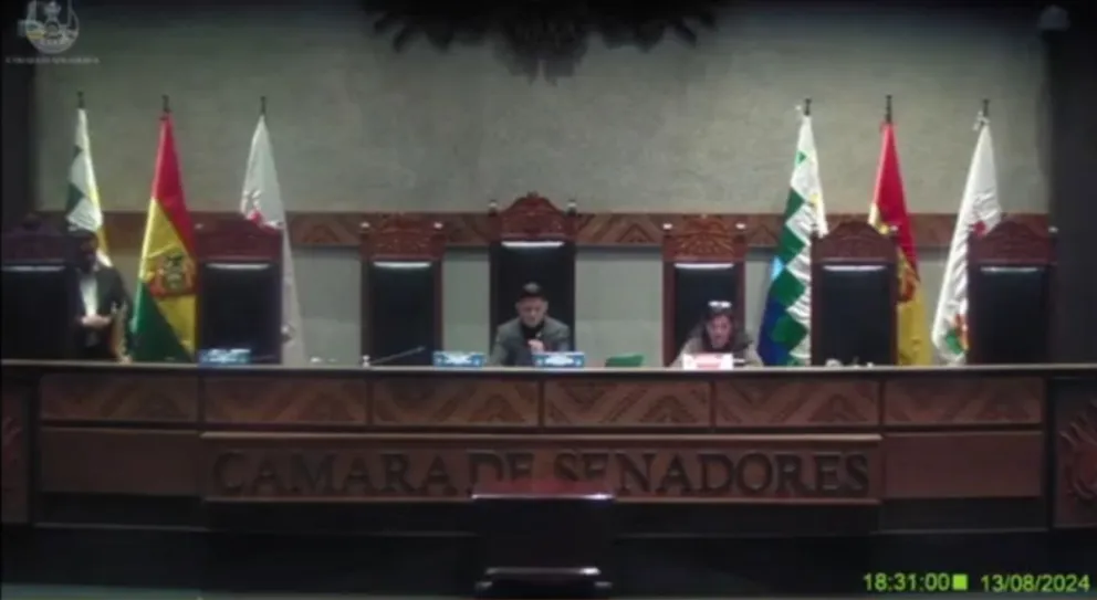 La sesión se llevó adelante en horas de la tarde. Foto: Captura de video