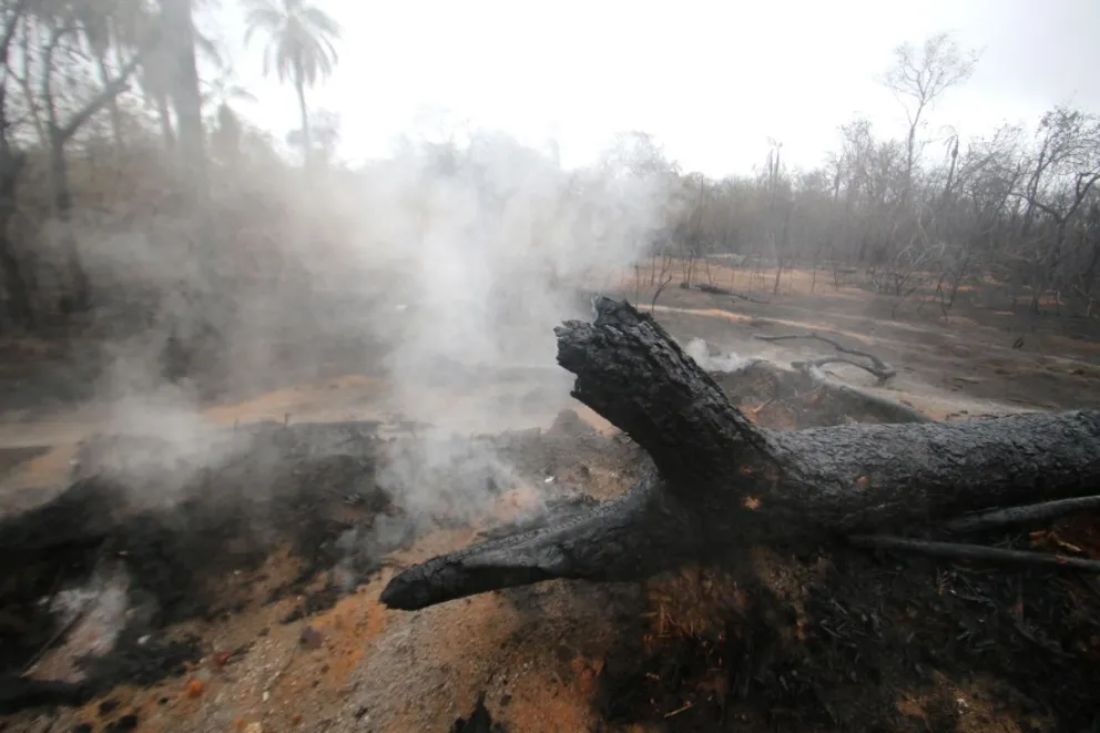 Fotografía de archivo del 8 de agosto de 2024 que muestra una zona afectada por incendios forestales en Bolivia. Foto: EFE/Juan Carlos Torrejón