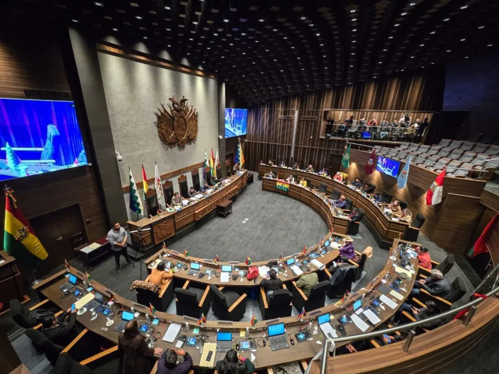 Sesión de la Cámara de Senadores. Foto: Cámara de Senadores