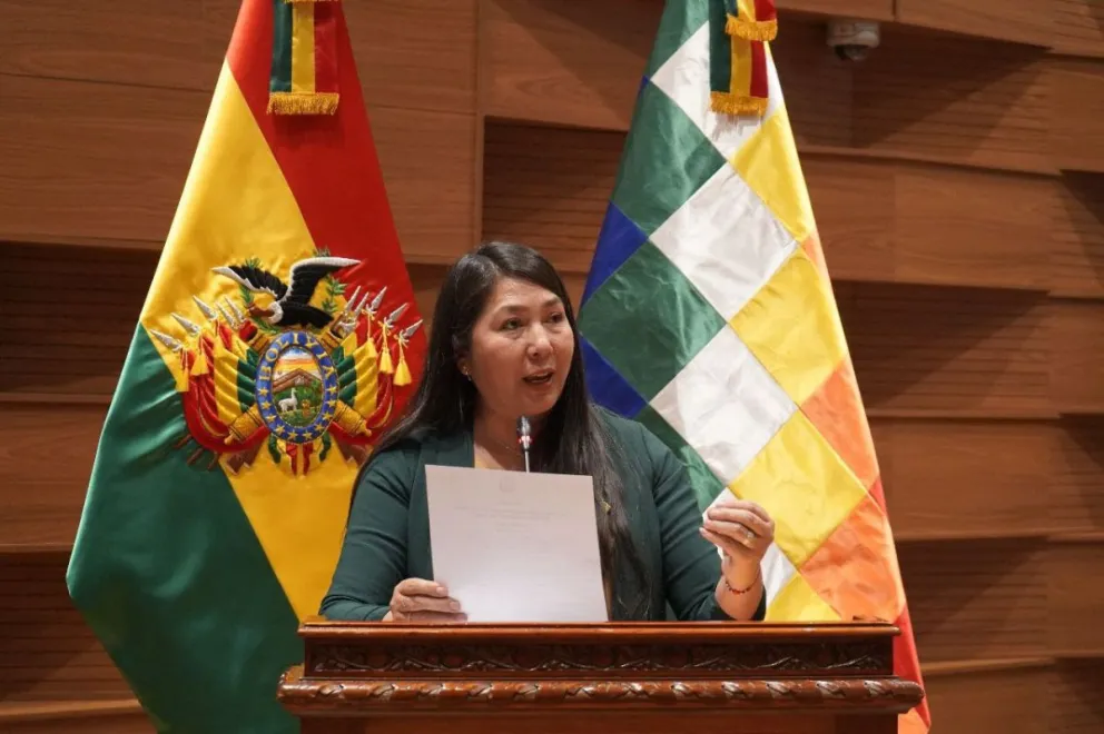 La diputada Rosario García en una sesión anterior. Foto: Facebook