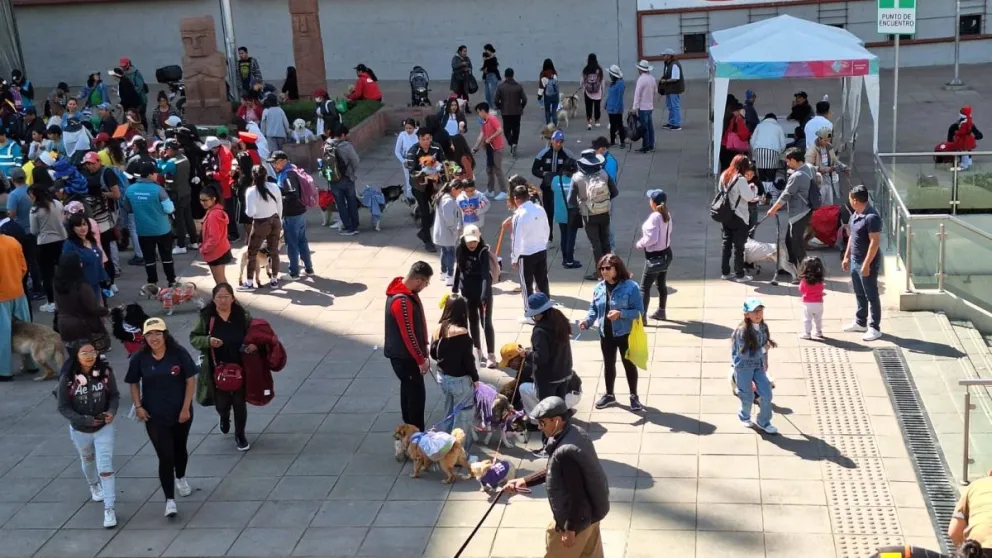 Familias con sus mascotas participan en el Festican paceño.  Foto: Jorge Soruco / Visión 360