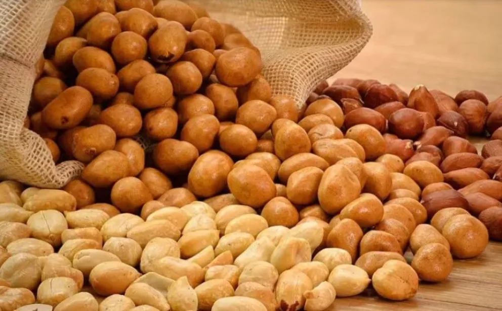 Una imagen referencial. Foto: Infobae / Cocina fácil