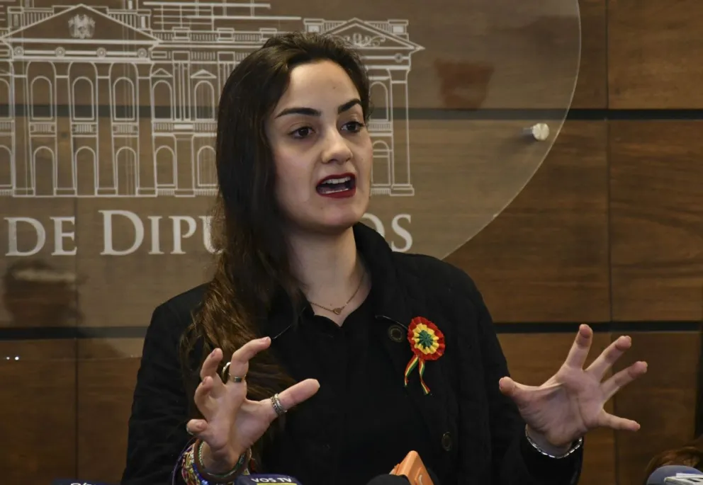 La diputada de Comunidad Ciudadana, Luisa Nayar. Foto: APG