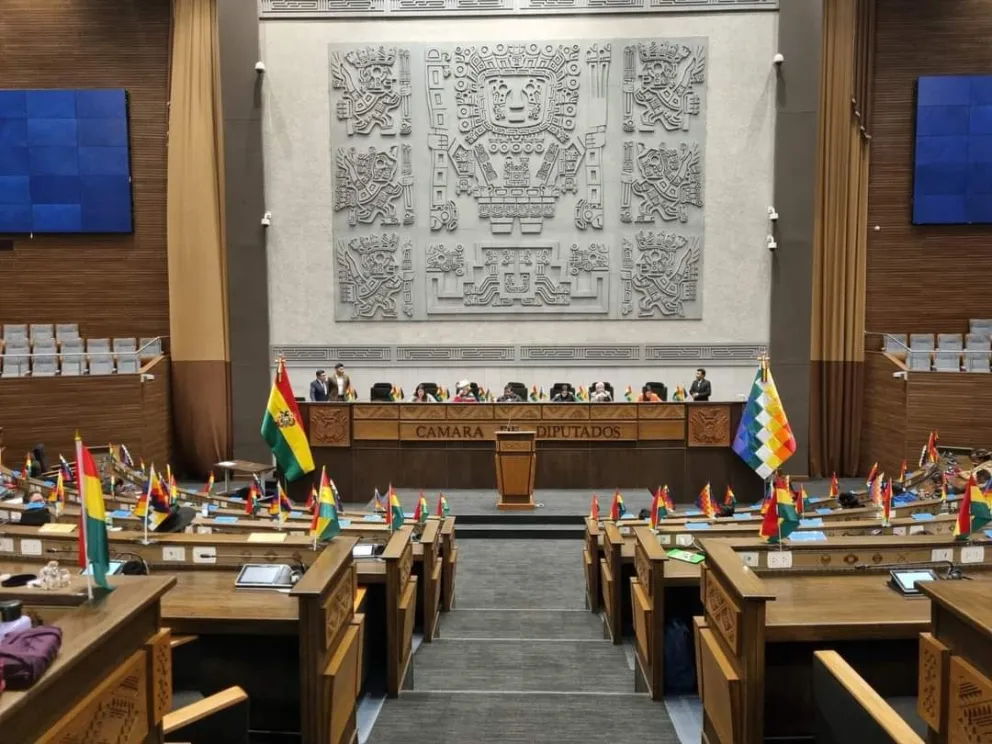 La sesión en la Cámara Baja. Foto: Diputados 