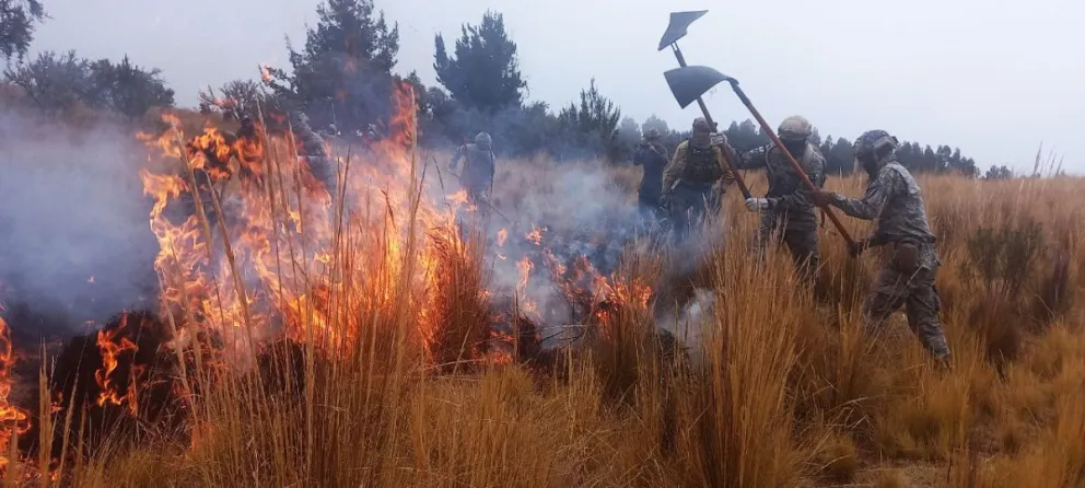 Efectivos militares aplacan las llamas. Foto: ABI
