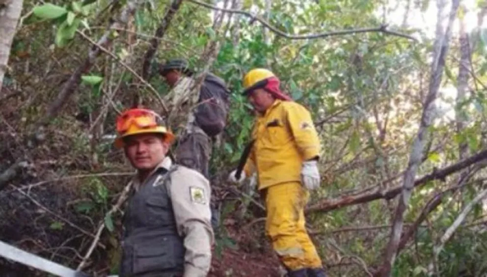 Guardaparques quedan absueltos por ser insuficiente la prueba del acusador.Foto: El Diario