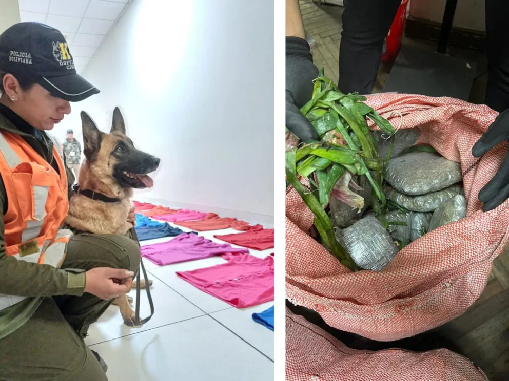 La Felcn halló droga en botones de blusas y en costales de cebolla. Fotos Felcn.