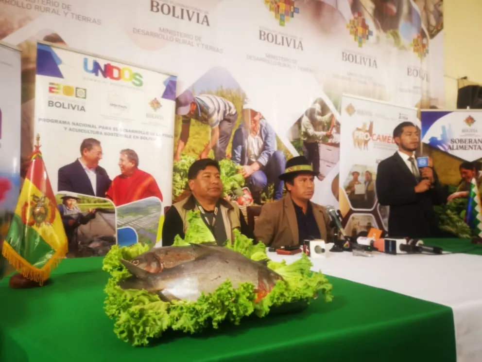 El viceministro de Desarrollo Rural, Álvaro Mollinedo se refiere a la salida ilegal de arroz del  país. Foto. M. Belmonte.