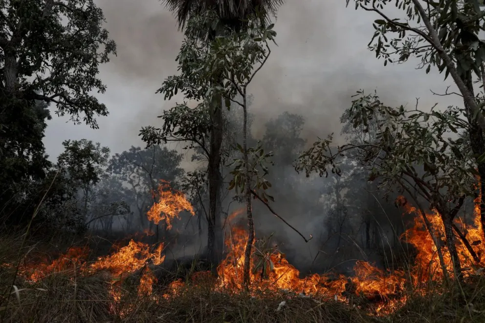 Fotografía de archivo de un incendio forestal el 30 de junio de 2024 en el Pantanal (Brasil). Foto: EFE