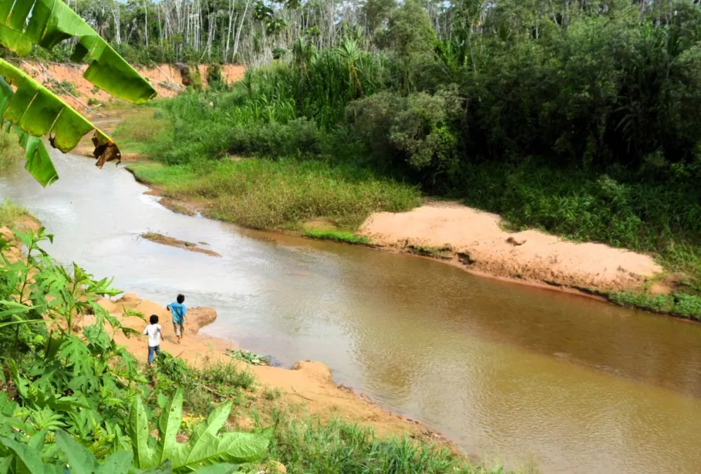 La norma prohibía la mercantilización delos servicios ambientales.  Foto: Leny Chuquimia / Visión 360