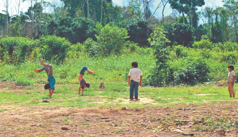 Los pueblos indígenas custodian el 80% de la biodiversidad que queda en el planeta.   Foto: Leny Chuquimia / Visión 360