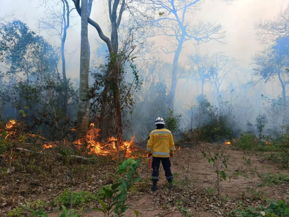 Un bombero ingresa a una zona afectada por las llamas. Foto: Gobernación de Santa Cruz