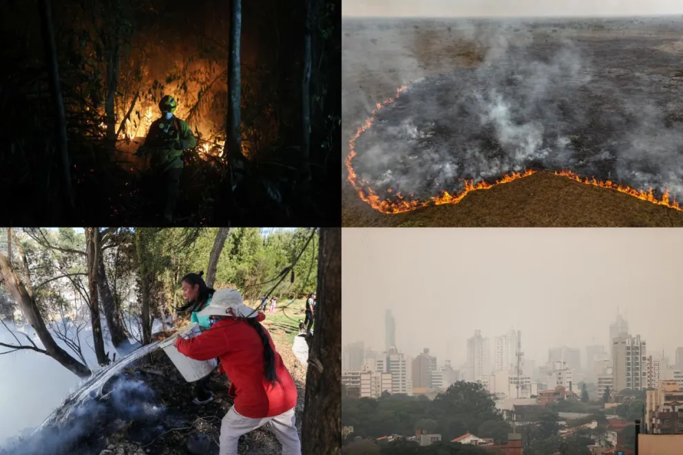 Combo de fotografías de archivo que muestran los incendios y afectaciones en varios países de Latinoamérica. Foto: EFE