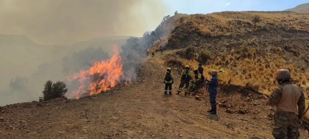 El incendio que fue controlado en Tiquipaya. Foto: Asociación Armonía