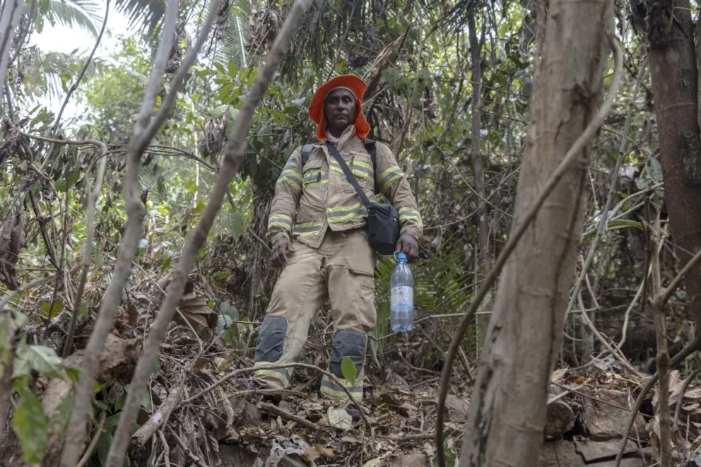Un bombero apaga incendios en varias áreas quemadas del Parque Estatal Guajará Mirim. Foto: EFE