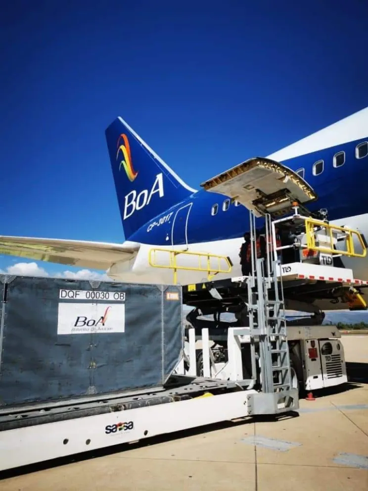 El vuelo con la placa CP-3214  continúa varado en la zona de vuelos internacionales de la terminal aérea de Santa Cruz. Foto: DTV