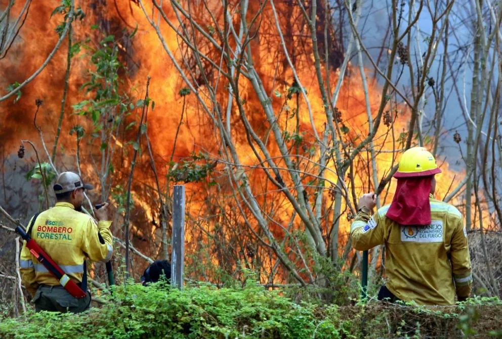 Bomberos trabajan apagando un incendio este viernes en la comunidad de Palestina (Bolivia). Foto: EFE