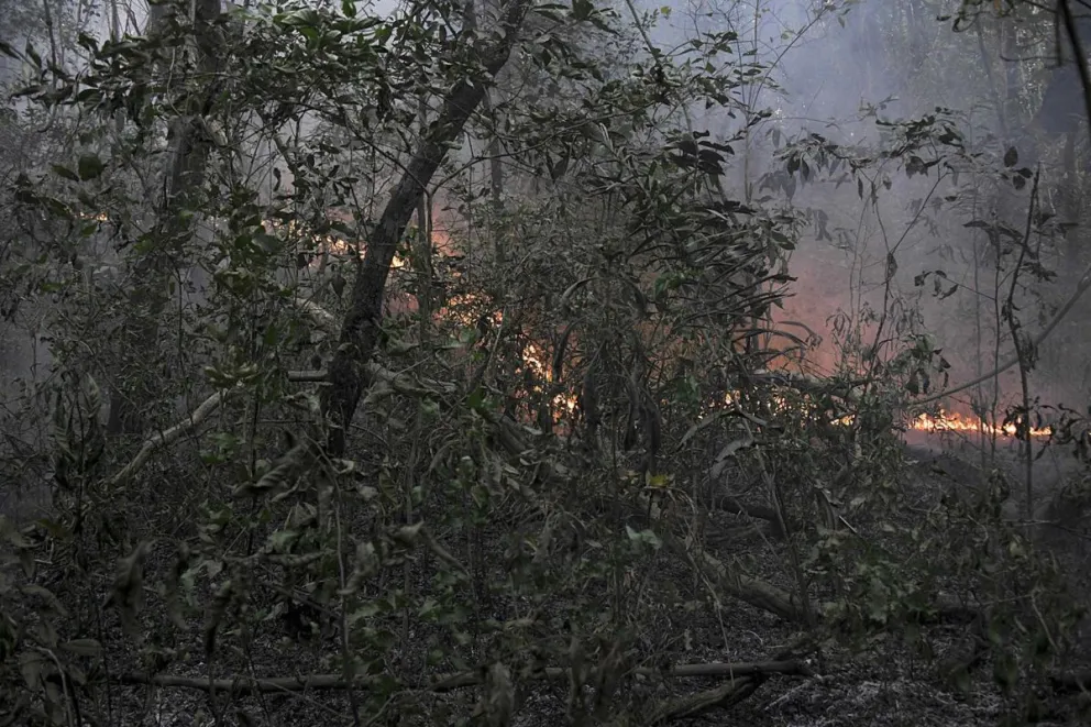 Fotografía de archivo de un incendio forestal en el estado de Mato Grosso (Brasil). Foto: EFE