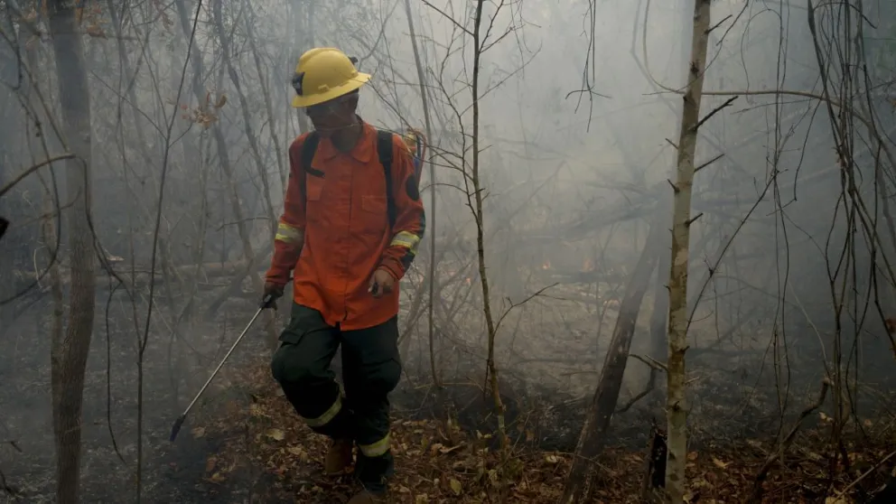 Los incendios forestales destruyeron más de 4 millones de hectáreas de bosques; la imagen es de septiembre. Foto: APG