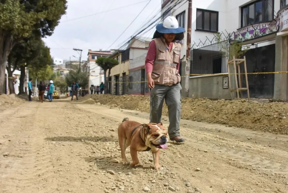 Abdón, el perrito rescatado, en una jornada habitual. Foto: AMUN