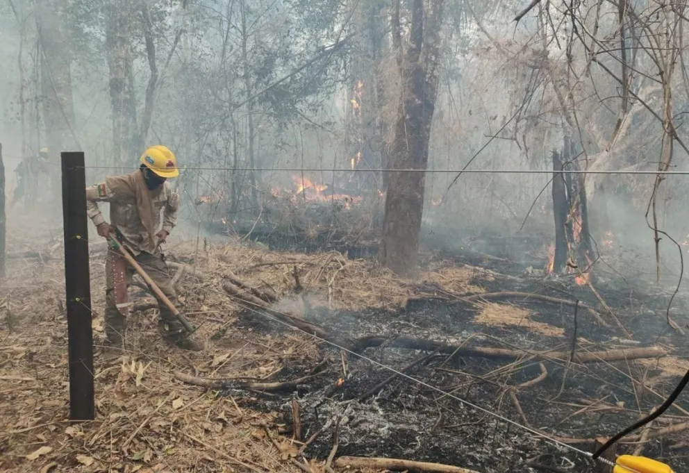 Un bombero realiza su labor. Foto: Gobernación de Santa Cruz 