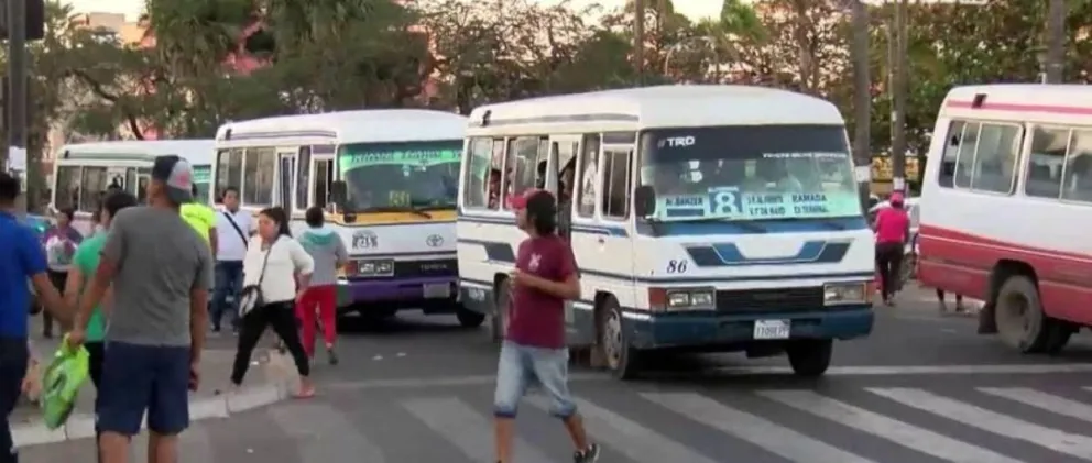 Micros que prestan el servicio público circulan en la ciudad de Santa Cruz. Foto: Unitel