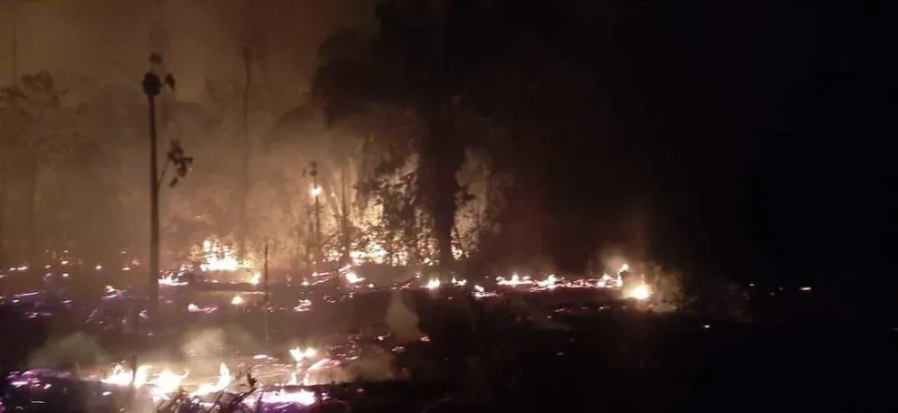 Predios devorados por el fuego. Foto: Fernando Vaca