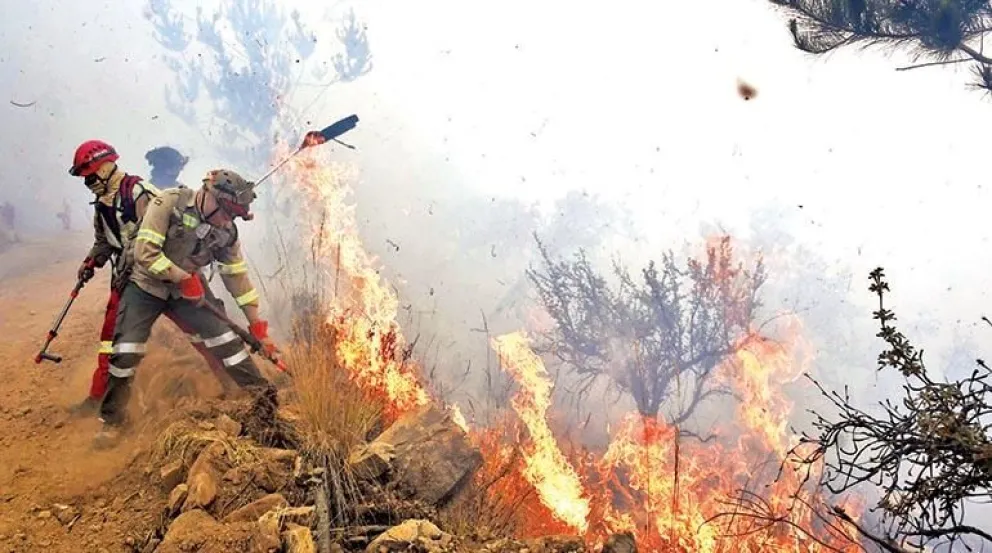 Bomberos luchan contra las llamas en Santa Cruz. Foto: Gobernación de Santa Cruz