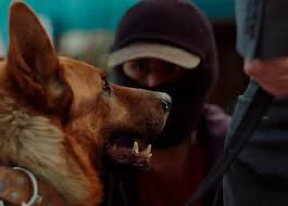 Escena de la película nacional El ladrón de perros, que llega en octubre. FOTO: Producción El Ladrón de Perros 