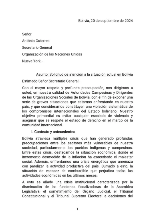 En carta a la ONU, marchistas confirman su demanda de reconocimiento a la candidatura de Evo Morales